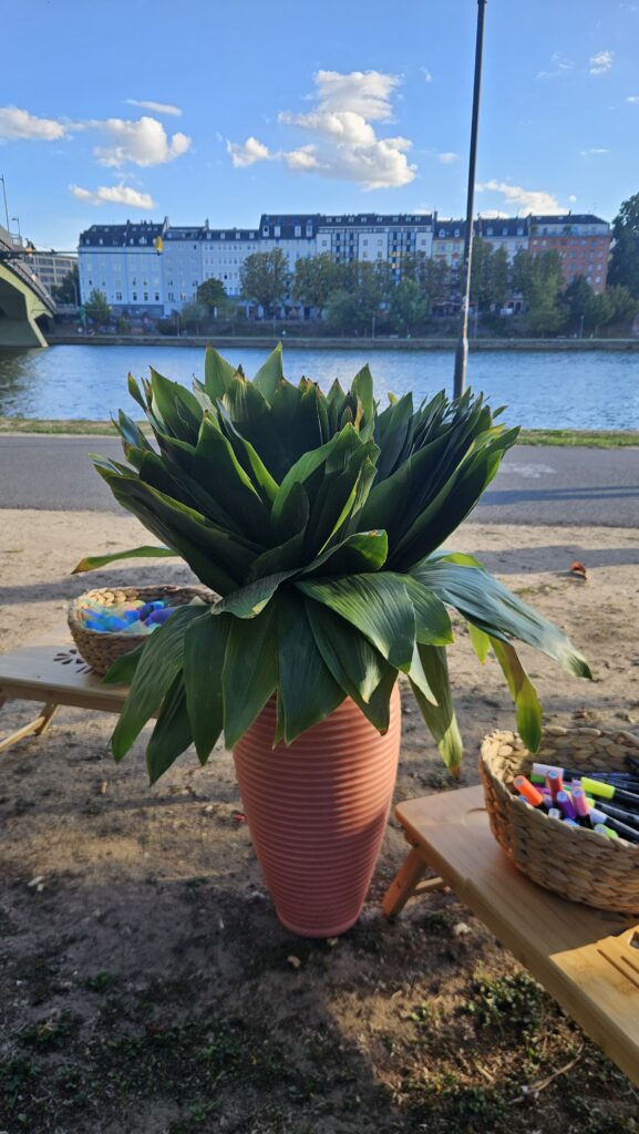 Blick auf die Süd-Seite des Mainufers, große Blätter in einer geriffelten hohen Vase. Rechts von der Vase ein kleiner Tisch mit einem Korb bunter Kreidestifte. Links von der Vase ein kleiner Tisch mit bunten Bändern in einem Korb.