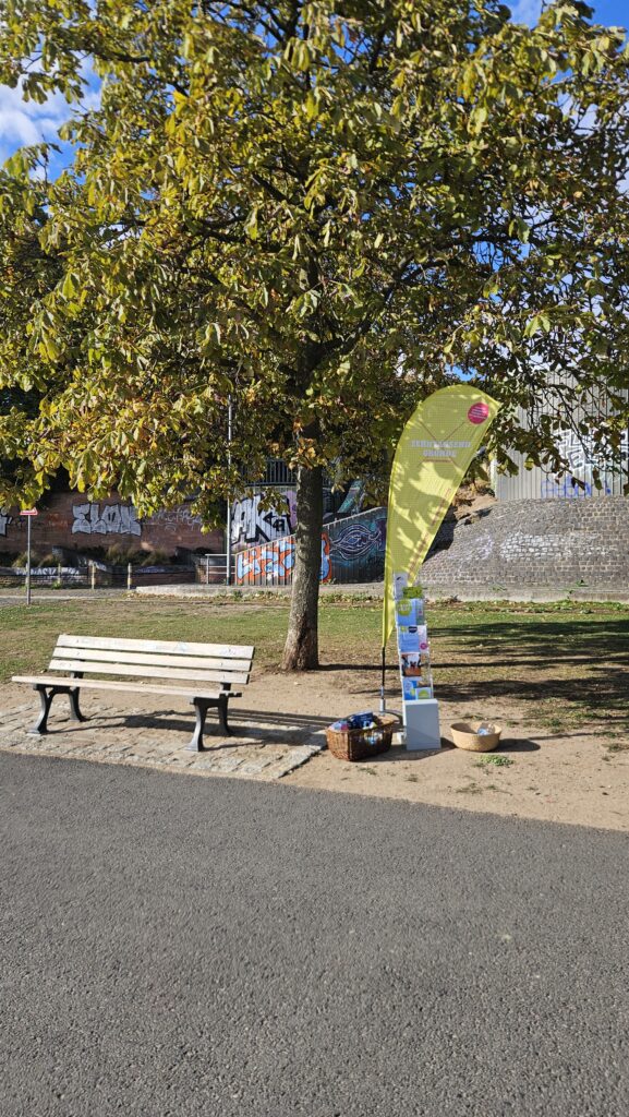 Blick auf eine Kastanie zum Herbstbeginn. Davor ein Gehweg am Mainufer mit einer Bank. Daneben verschiedenes FRANS Infomaterial in einem Korb und Aufsteller sowie eine hellgrüne Beachflag.