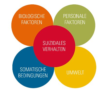 Vier überlappende Kreise stehen für „Biologische Faktoren“, „Personale Faktoren“, „Somatische Bedingungen“ und „Umwelt“. In ihrer Mitte liegt ein roter Kreis mit der Aufschrift „Suizidales Verhalten“, der die Wechselwirkung dieser Einflussbereiche verdeutlicht.
